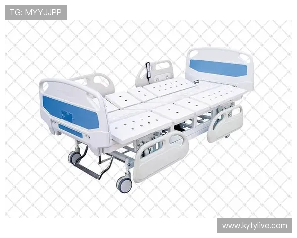 最新Kaiyun开云登录下载指南，详细步骤帮助用户顺利登录